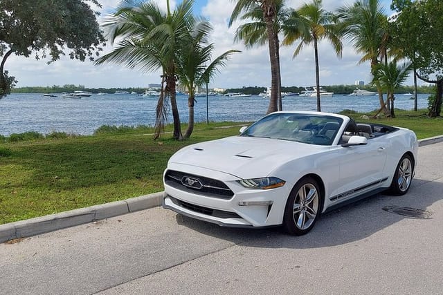 Half-Day Miami Tour by Convertible Mustang - Photo 1 of 11